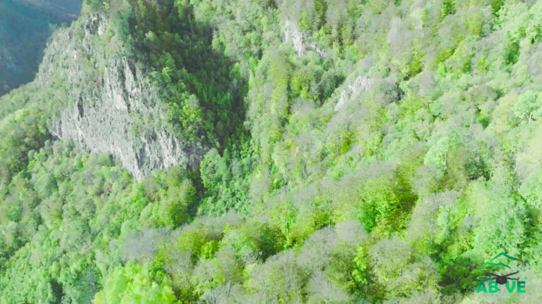 Kozufi-Summer-north macedonia-above-1