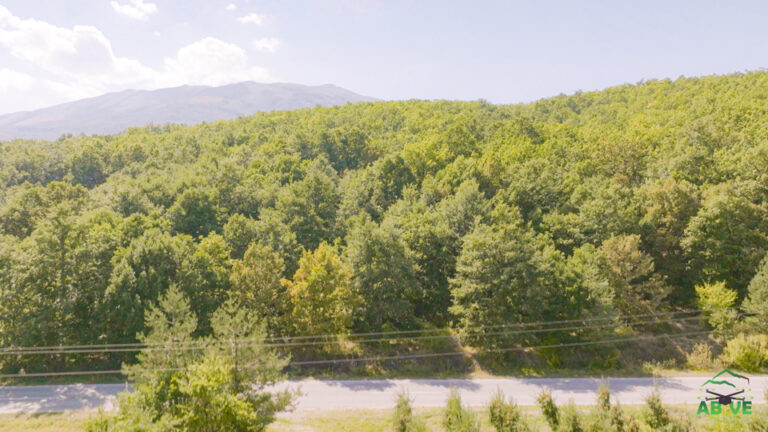 Pelister-Summer-north macedonia-above-6