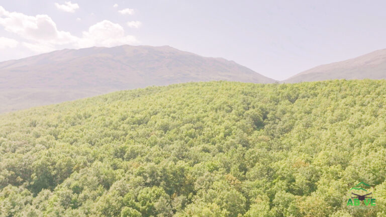 Pelister-Summer-north macedonia-above-7