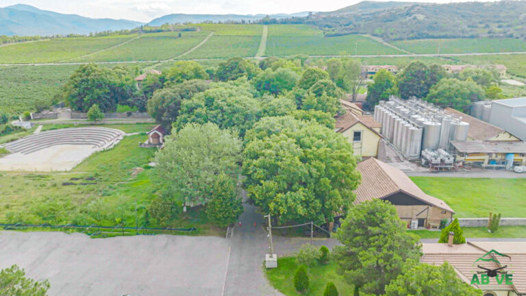 Queen Mary Winery-Summer-north macedonia-above-10
