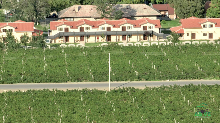 Queen Mary Winery-Summer-north macedonia-above-11