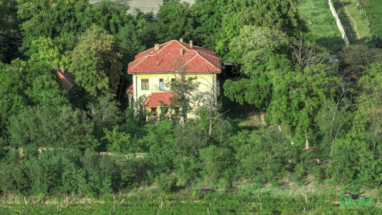 Queen Mary Winery-Summer-north macedonia-above-6