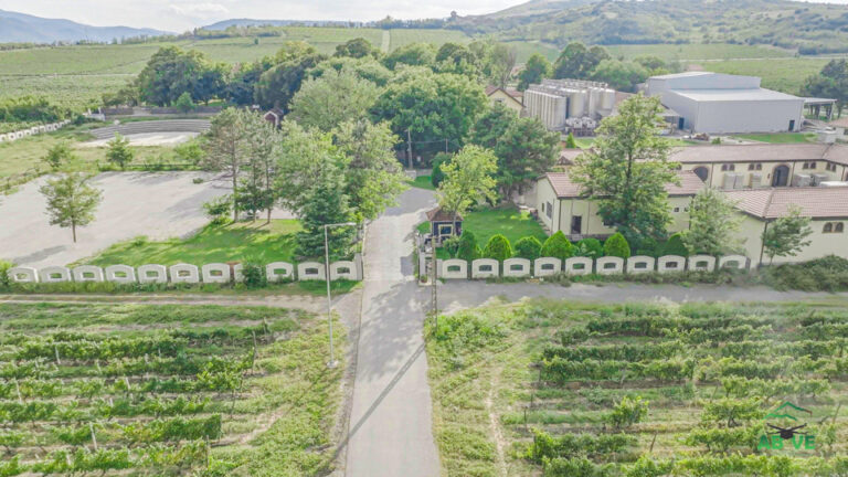 Queen Mary Winery-Summer-north macedonia-above-9