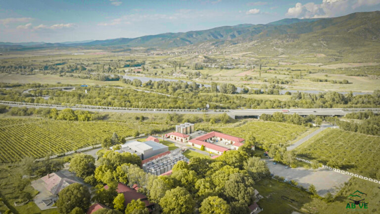 Queen Mary Winery-autumn-north macedonia-above-6