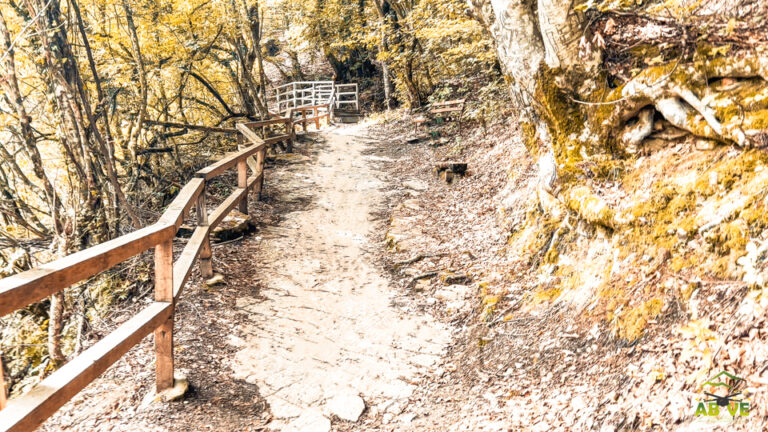 Smolari-autumn-north macedonia-above-3