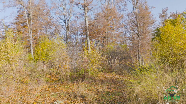 kozuf-autumn-north macedonia-above-4