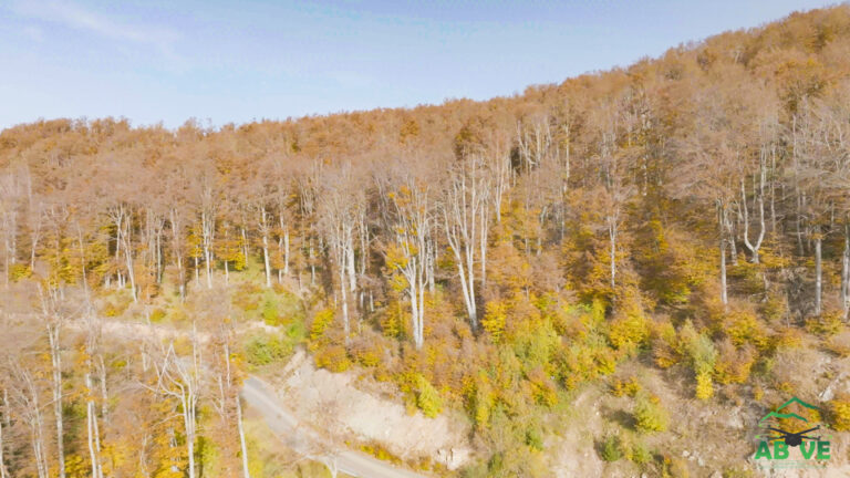 kozuf-autumn-north macedonia-above-5